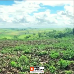 Fazenda / Sítio / Chácara à venda, 1360000m² no Centro, Nossa Senhora das Dores