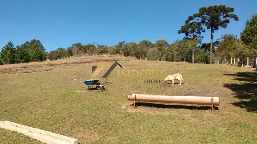 Fazenda / Sítio / Chácara à venda, 13698m² no Capivari, Colombo