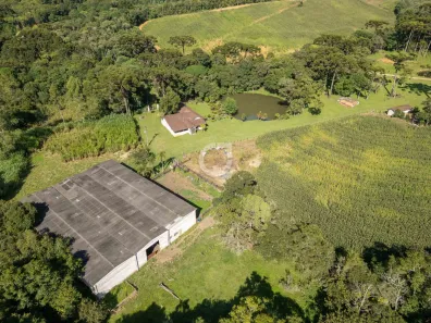 Fazenda / Sítio / Chácara com 3 Quartos à venda, 242000m² no , Campina Grande do Sul