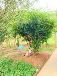 Fazenda / Sítio / Chácara com 2 Quartos à venda, 223m² no Jundiaquara, Araçoiaba da Serra