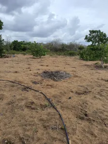 Fazenda / Sítio / Chácara com 3 Quartos à venda, 50m² no , Vera Cruz