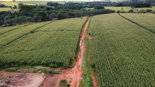 Fazenda / Sítio / Chácara à venda, 1700000m² no Arapoanga, Brasília