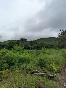Fazenda / Sítio / Chácara à venda, 1m² no , Paranã