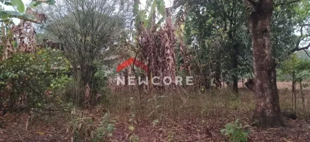 Terreno / Lote / Condomínio à venda, 716m² no Fidalgo, Pedro Leopoldo