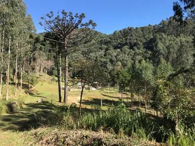 Fazenda / Sítio / Chácara à venda, 919600000m² no , Rio Branco do Sul