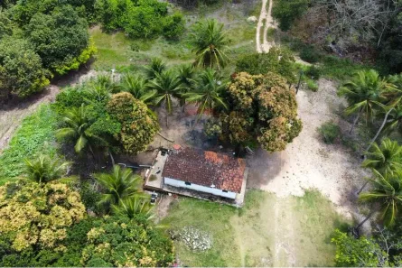 Fazenda / Sítio / Chácara à venda, 160000m² no Jardim Recreio, Conde
