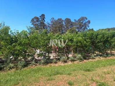 Fazenda / Sítio / Chácara com 5 Quartos à venda, 1080m² no Buru, Salto