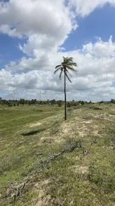 Terreno / Lote / Condomínio à venda, 19617m² no , Trairi