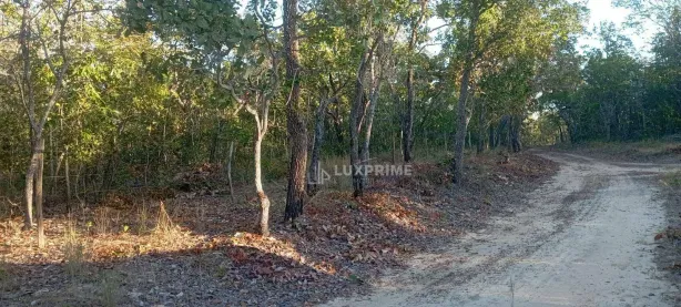 Fazenda / Sítio / Chácara à venda, 1190278m² no Jardim Brasilia I, Ponte Alta do Tocantins