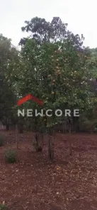 Terreno / Lote / Condomínio à venda, 716m² no Fidalgo, Pedro Leopoldo