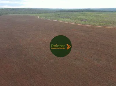 Fazenda / Sítio / Chácara à venda, 100000m² no , Pedro Afonso