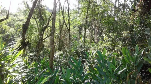 Terreno / Lote / Condomínio à venda, 10m² no Parque Rio Grande, Rio Grande da Serra