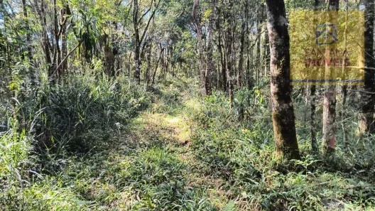 Terreno / Lote / Condomínio à venda, 240000m² no Itaqui de Cima, Campo Largo