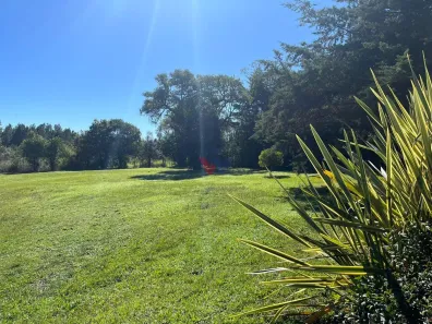 Galpão / Depósito / Armazém à venda, 156963m² no , Campina Grande do Sul