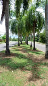 Casa de Condomínio com 3 Quartos à venda, 125m² no Alphaville (Abrantes), Camaçari