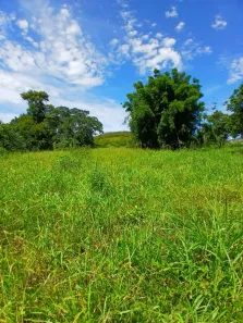 Fazenda / Sítio / Chácara com 2 Quartos à venda, 20000m² no Bazílio, Rio Bonito