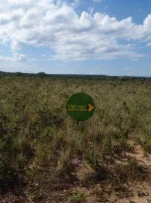 Fazenda / Sítio / Chácara à venda, 5907825m² no , Ponte Alta do Tocantins