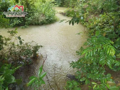 Fazenda / Sítio / Chácara com 2 Quartos à venda, 160m² no Centro, Pium