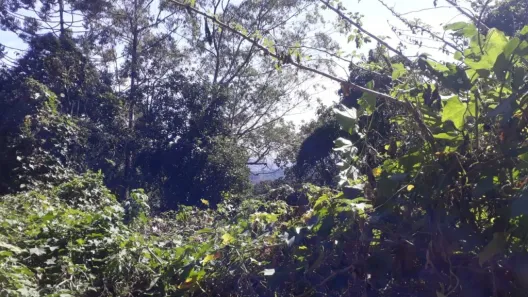 Terreno / Lote / Condomínio à venda, 33m² no Roseira, Mairiporã
