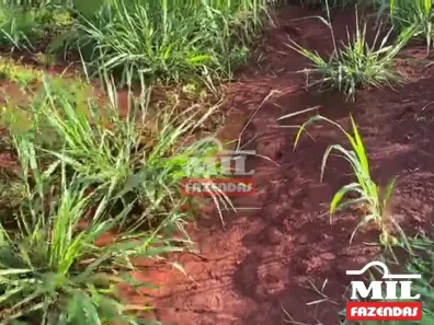 Fazenda / Sítio / Chácara à venda, 500m² no , Lagoa Santa