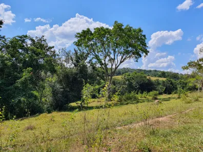 Terreno / Lote / Condomínio à venda, 20000m² no Zona Rural, Fortuna de Minas