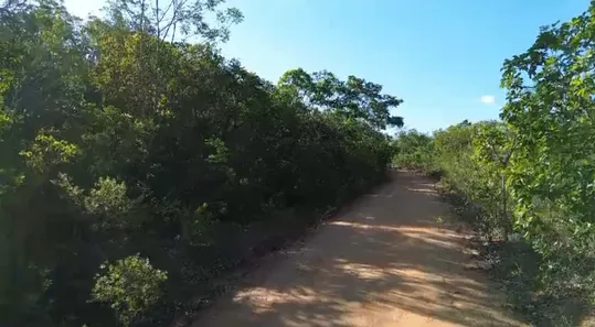 Fazenda / Sítio / Chácara à venda, 175m² no , Ponte Alta do Tocantins
