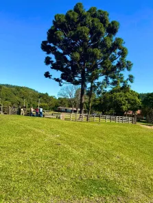 Terreno / Lote / Condomínio à venda, 1000m² no , Alumínio