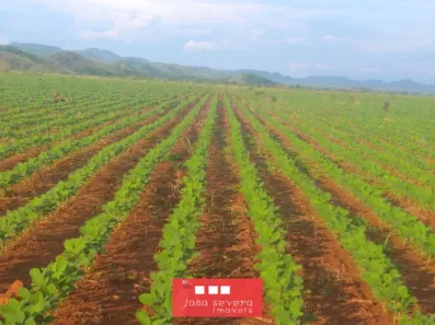 Fazenda / Sítio / Chácara à venda, 7986000m² no , Silvanópolis