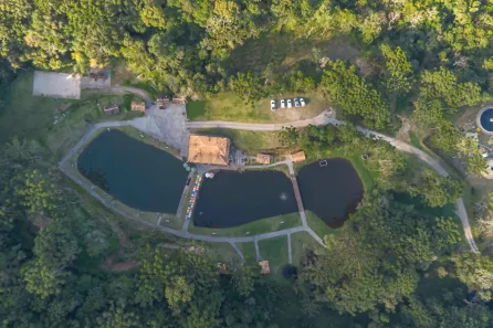 Fazenda / Sítio / Chácara à venda, 26000m² no Centro, Campina Grande do Sul