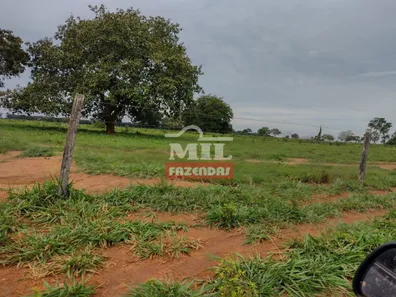 Fazenda / Sítio / Chácara à venda, 500m² no , Pium