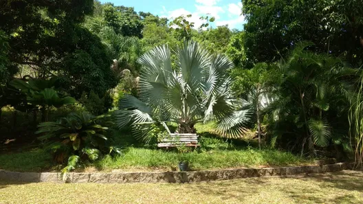 Fazenda / Sítio / Chácara com 3 Quartos à venda, 150m² no Barreira (Bacaxá), Saquarema