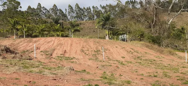 Fazenda / Sítio / Chácara com 1 Quarto à venda, 2900m² no Área Rural de Viçosa, Viçosa
