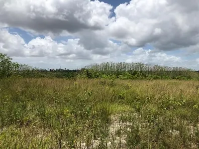 Terreno / Lote / Condomínio à venda, 60000m² no Parque de Dias Davila, Dias D'Ávila