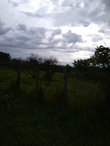 Fazenda / Sítio / Chácara à venda, 49000m² no Área Rural de Valparaíso de Goiás, Valparaíso de Goiás