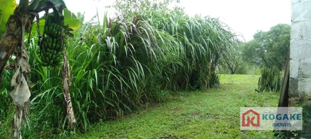 Fazenda / Sítio / Chácara com 3 Quartos à venda, 30000m² no Igaratá, 