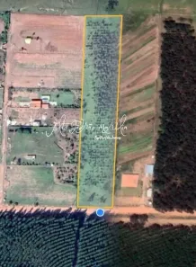 Terreno / Lote / Condomínio à venda, 10000m² no Centro, Vera Cruz