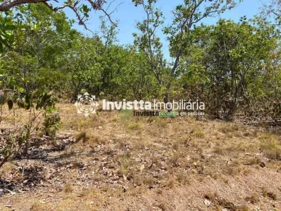 Fazenda / Sítio / Chácara à venda, 242m² no Centro, Pium