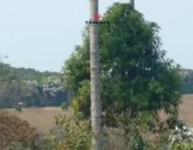 Terreno / Lote / Condomínio à venda, 20000m² no , Caeté
