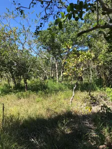 Terreno / Lote / Condomínio à venda, 1184m² no Busca Vida (Abrantes), Camaçari