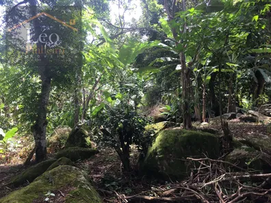 Fazenda / Sítio / Chácara com 3 Quartos à venda, 7270m² no Área Rural de Macaé, Macaé