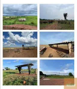 Fazenda / Sítio / Chácara com 2 Quartos à venda, 8391m² no , Formoso do Araguaia