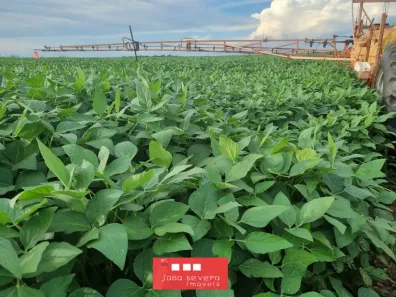 Fazenda / Sítio / Chácara à venda, 8760400m² no , Santa Maria do Tocantins
