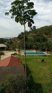 Fazenda / Sítio / Chácara com 2 Quartos à venda, 44000m² no Figueiras, Nova Iguaçu