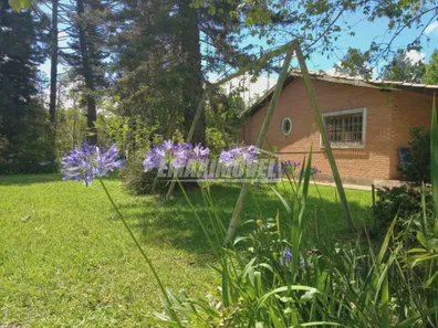 Fazenda / Sítio / Chácara com 5 Quartos à venda, 36300m² no , Piedade