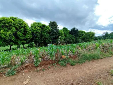 Fazenda / Sítio / Chácara à venda, 96800m² no , Guaraniaçu