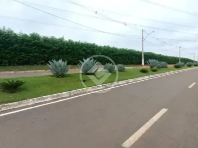 Terreno / Lote / Condomínio à venda, 1000m² no Condomínio de Chácaras Galiléia, Trindade