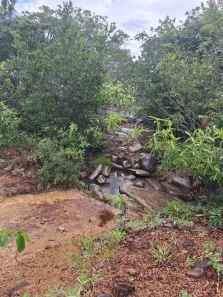 Fazenda / Sítio / Chácara à venda, 142000m² no Área Rural de Formosa, Formosa