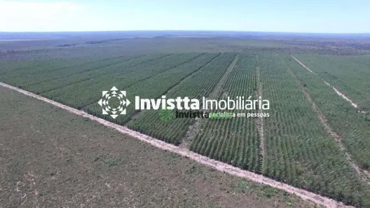 Fazenda / Sítio / Chácara à venda, 1050m² no , Rio Sono