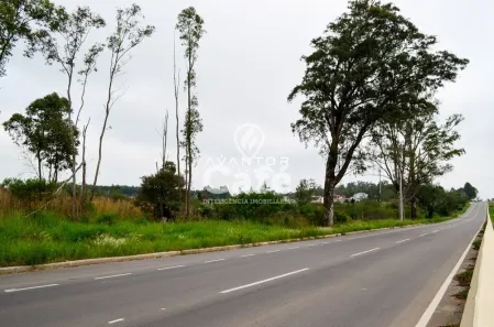 Terreno / Lote / Condomínio à venda, 171000m² no Pé de Plátano, Santa Maria