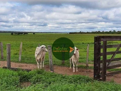 Fazenda / Sítio / Chácara à venda, 173707600m² no Presidente Kennedy, Presidente Kennedy